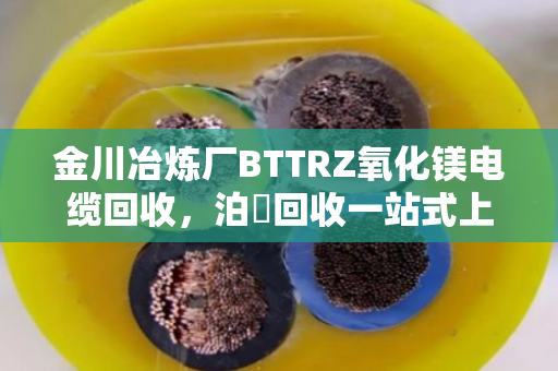 金川冶炼厂BTTRZ氧化镁电缆回收，泊祎回收一站式上门服务解析