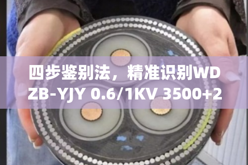 四步鉴别法,精准识别WDZB-YJY 0.6/1KV 3500+2240电缆真伪 四步鉴别法,精准识别WDZB-YJY 0.6/1KV 3500+2240电缆真伪