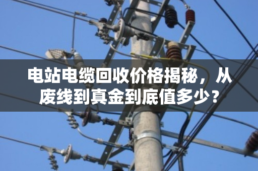 电站电缆回收价格揭秘，从废线到真金到底值多少？