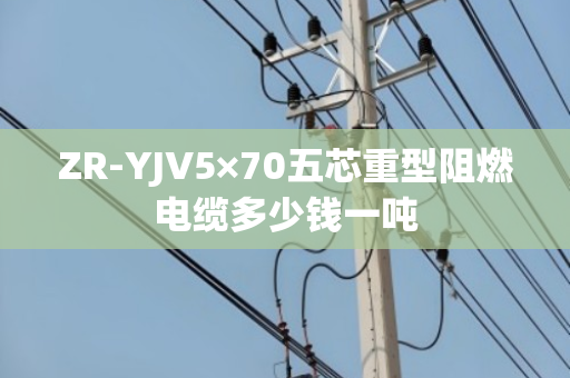 ZR-YJV5×70五芯重型阻燃电缆多少钱一吨 ZR-YJV5×70五芯重型阻燃电缆多少钱一吨