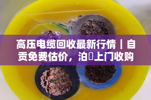 高压电缆回收最新行情｜自贡免费估价，泊祎上门收购助力资源循环