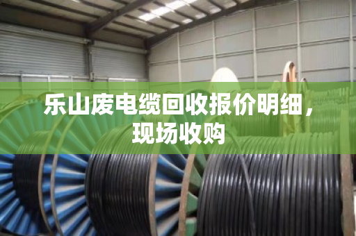 乐山废电缆回收报价明细,现场收购 乐山废电缆回收报价明细,现场收购