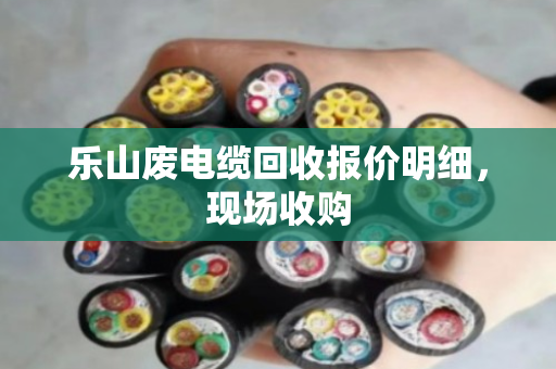 乐山废电缆回收报价明细,现场收购 乐山废电缆回收报价明细,现场收购