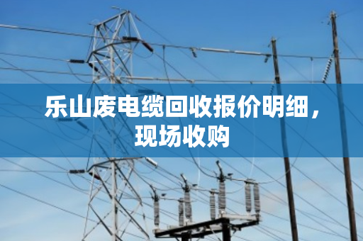 乐山废电缆回收报价明细，现场收购