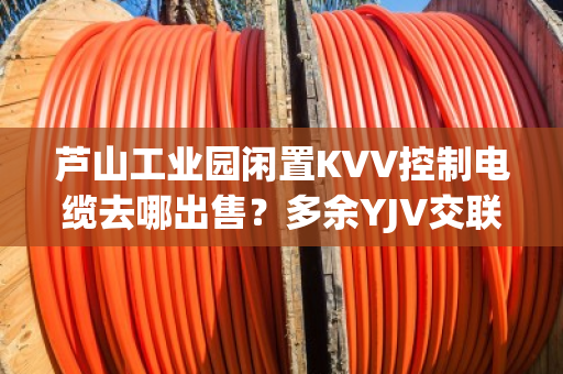 芦山工业园闲置KVV控制电缆去哪出售?多余YJV交联缆上门当场结算吗 芦山工业园闲置KVV控制电缆去哪出售?多余YJV交联缆上门当场结算吗