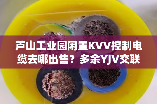 芦山工业园闲置KVV控制电缆去哪出售?多余YJV交联缆上门当场结算吗 芦山工业园闲置KVV控制电缆去哪出售?多余YJV交联缆上门当场结算吗