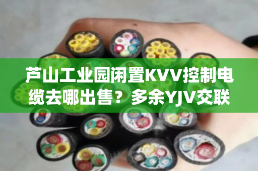 芦山工业园闲置KVV控制电缆去哪出售？多余YJV交联缆上门当场结算吗