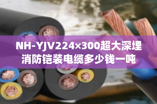 NH-YJV224×300超大深埋消防铠装电缆多少钱一吨 NH-YJV224×300超大深埋消防铠装电缆多少钱一吨