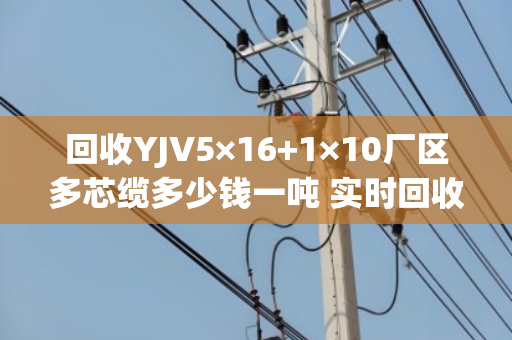 回收YJV5×16+1×10厂区多芯缆多少钱一吨 实时回收价 回收YJV5×16+1×10厂区多芯缆多少钱一吨 实时回收价