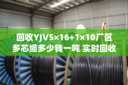 回收YJV5×16+1×10厂区多芯缆多少钱一吨 实时回收价 回收YJV5×16+1×10厂区多芯缆多少钱一吨 实时回收价