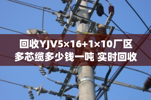 回收YJV5×16+1×10厂区多芯缆多少钱一吨 实时回收价