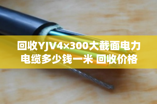 回收YJV4×300大截面电力电缆多少钱一米 回收价格 回收YJV4×300大截面电力电缆多少钱一米 回收价格