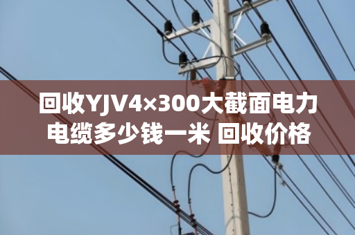 回收YJV4×300大截面电力电缆多少钱一米 回收价格
