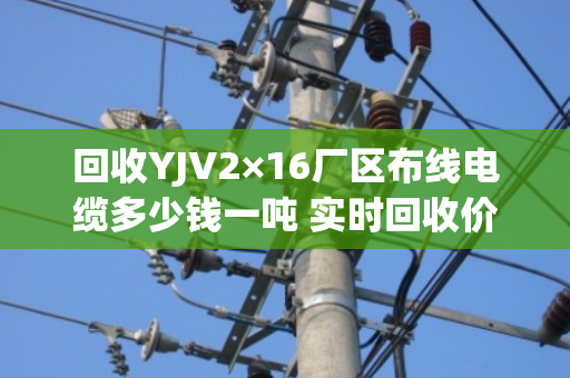 回收YJV2×16厂区布线电缆多少钱一吨 实时回收价 回收YJV2×16厂区布线电缆多少钱一吨 实时回收价