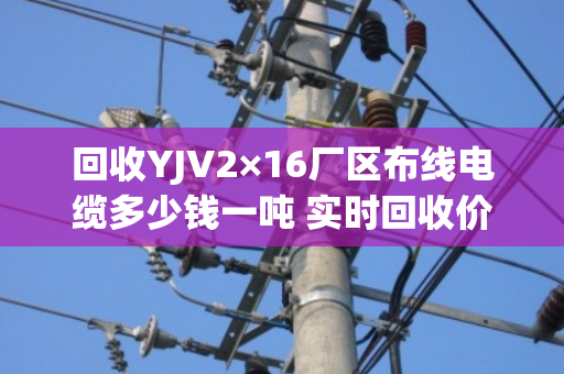 回收YJV2×16厂区布线电缆多少钱一吨 实时回收价 回收YJV2×16厂区布线电缆多少钱一吨 实时回收价