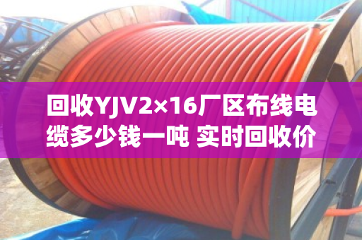 回收YJV2×16厂区布线电缆多少钱一吨 实时回收价