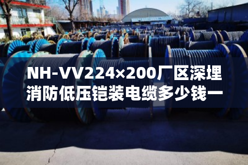NH-VV224×200厂区深埋消防低压铠装电缆多少钱一米 NH-VV224×200厂区深埋消防低压铠装电缆多少钱一米