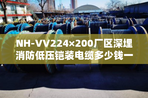 NH-VV224×200厂区深埋消防低压铠装电缆多少钱一米 NH-VV224×200厂区深埋消防低压铠装电缆多少钱一米