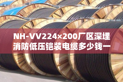 NH-VV224×200厂区深埋消防低压铠装电缆多少钱一米