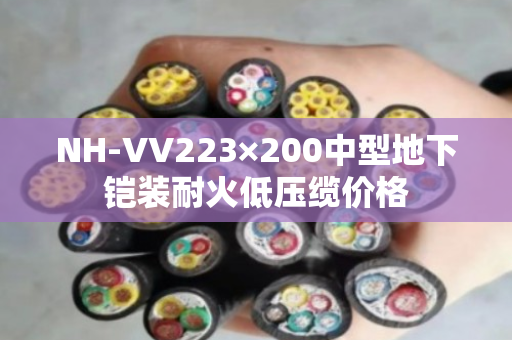 NH-VV223×200中型地下铠装耐火低压缆价格