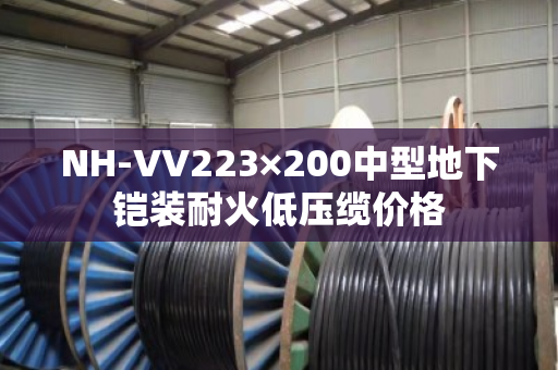 NH-VV223×200中型地下铠装耐火低压缆价格