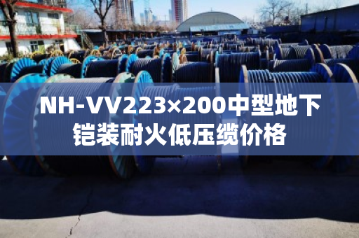 NH-VV223×200中型地下铠装耐火低压缆价格