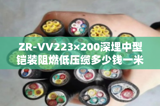 ZR-VV223×200深埋中型铠装阻燃低压缆多少钱一米 ZR-VV223×200深埋中型铠装阻燃低压缆多少钱一米