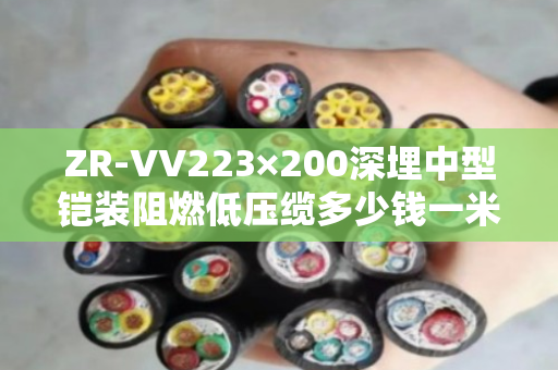 ZR-VV223×200深埋中型铠装阻燃低压缆多少钱一米 ZR-VV223×200深埋中型铠装阻燃低压缆多少钱一米