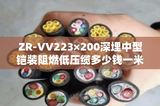 ZR-VV223×200深埋中型铠装阻燃低压缆多少钱一米
