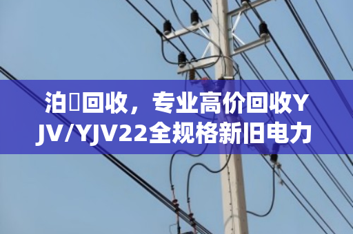泊祎回收，专业高价回收YJV/YJV22全规格新旧电力电缆，一站式合规处置