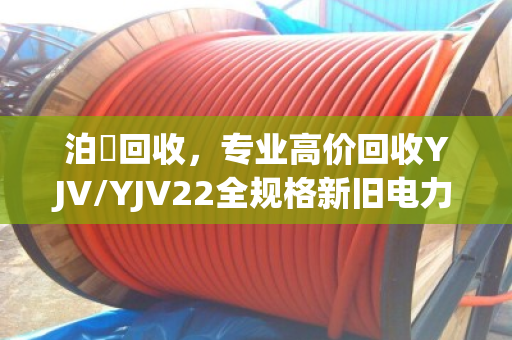 泊祎回收，专业高价回收YJV/YJV22全规格新旧电力电缆，一站式合规处置