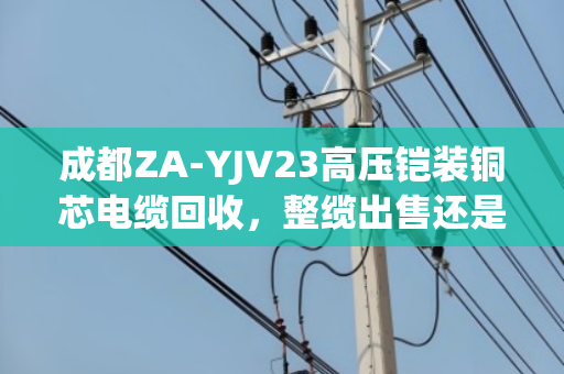 成都ZA-YJV23高压铠装铜芯电缆回收，整缆出售还是剥皮卖铜更划算？