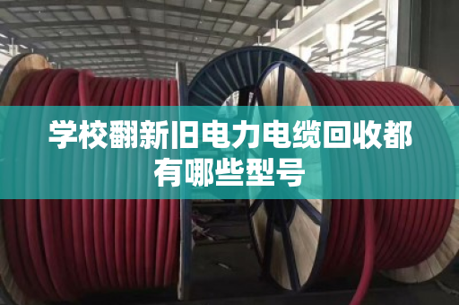 学校翻新旧电力电缆回收都有哪些型号