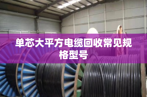 单芯大平方电缆回收常见规格型号