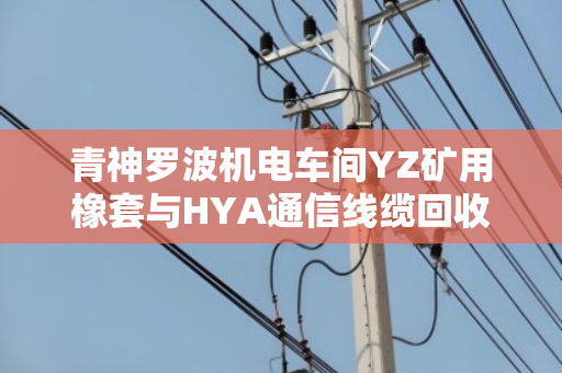 青神罗波机电车间YZ矿用橡套与HYA通信线缆回收报价全流程解析 青神罗波机电车间YZ矿用橡套与HYA通信线缆回收报价全流程解析