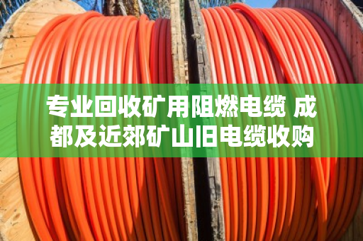 专业回收矿用阻燃电缆 成都及近郊矿山旧电缆收购 专业回收矿用阻燃电缆 成都及近郊矿山旧电缆收购