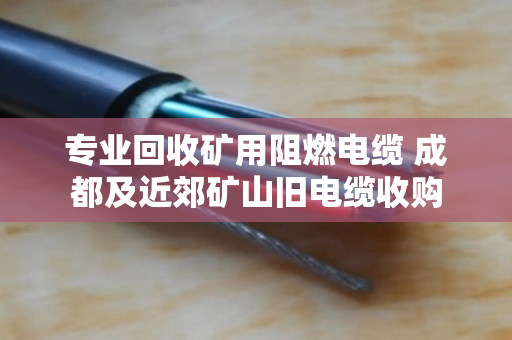 专业回收矿用阻燃电缆 成都及近郊矿山旧电缆收购 专业回收矿用阻燃电缆 成都及近郊矿山旧电缆收购