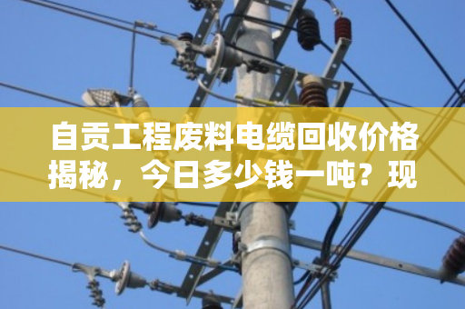 自贡工程废料电缆回收价格揭秘,今日多少钱一吨?现场称重估价全流程解析 自贡工程废料电缆回收价格揭秘,今日多少钱一吨?现场称重估价全流程解析