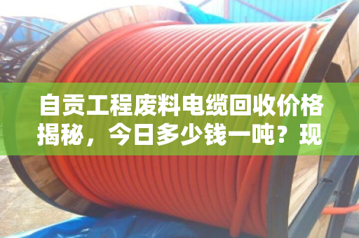自贡工程废料电缆回收价格揭秘，今日多少钱一吨？现场称重估价全流程解析