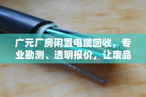 广元厂房闲置电缆回收,专业勘测、透明报价,让废品变财富 广元厂房闲置电缆回收,专业勘测、透明报价,让废品变财富