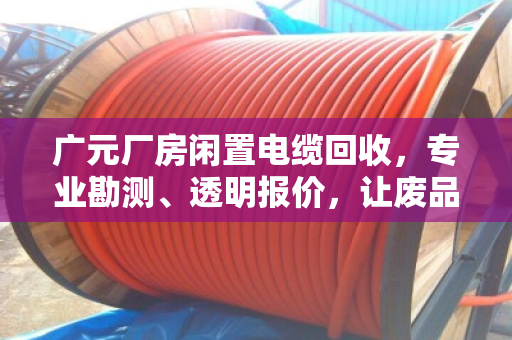 广元厂房闲置电缆回收,专业勘测、透明报价,让废品变财富 广元厂房闲置电缆回收,专业勘测、透明报价,让废品变财富