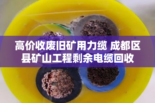 高价收废旧矿用力缆 成都区县矿山工程剩余电缆回收 高价收废旧矿用力缆 成都区县矿山工程剩余电缆回收