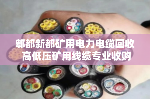 郫都新都矿用电力电缆回收 高低压矿用线缆专业收购