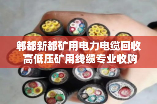 郫都新都矿用电力电缆回收 高低压矿用线缆专业收购