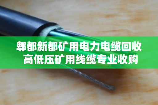 郫都新都矿用电力电缆回收 高低压矿用线缆专业收购