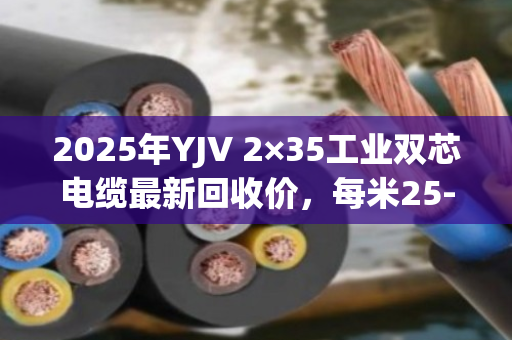 2025年YJV 2×35工业双芯电缆最新回收价,每米25-45元,泊祎回收案例解析 2025年YJV 2×35工业双芯电缆最新回收价,每米25-45元,泊祎回收案例解析