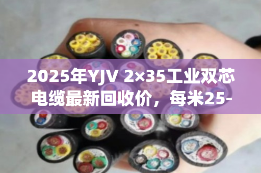 2025年YJV 2×35工业双芯电缆最新回收价,每米25-45元,泊祎回收案例解析 2025年YJV 2×35工业双芯电缆最新回收价,每米25-45元,泊祎回收案例解析