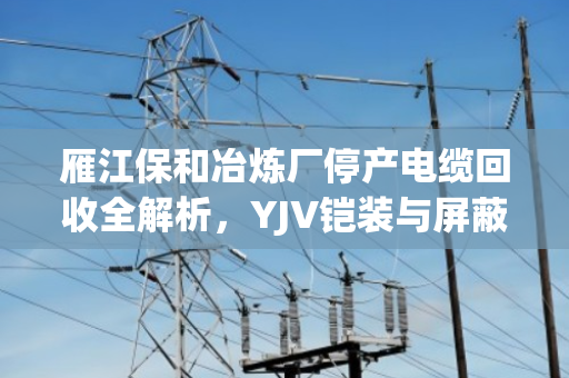 雁江保和冶炼厂停产电缆回收全解析，YJV铠装与屏蔽控制缆的精准估价与高价变现实战案例