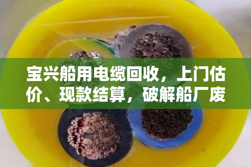 宝兴船用电缆回收，上门估价、现款结算，破解船厂废旧电缆处理难题