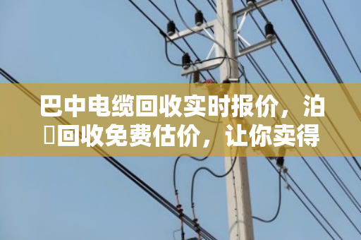 巴中电缆回收实时报价,泊祎回收免费估价,让你卖得放心赚得明白 巴中电缆回收实时报价,泊祎回收免费估价,让你卖得放心赚得明白